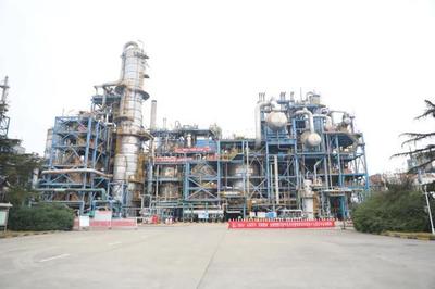 省委統戰部部長調研新區化學纖維產業鏈重點企業