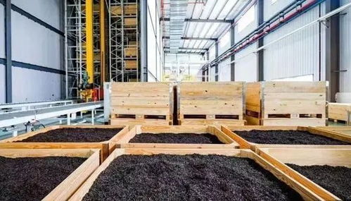 陜西茶行業熱議 關于茶產業高質量發展的意見 迎來又一個春天