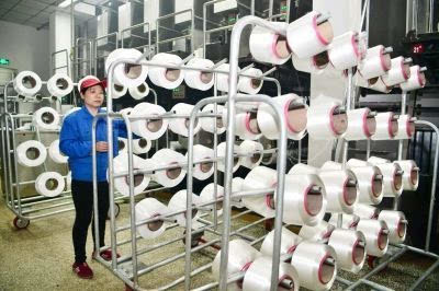 南通海安打造“千億級國家化纖產業示范基地”