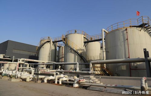 走在全國前列 這項 硬核科技 助力建設北方最大 瀝青超市