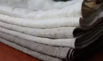 服裝面料丨提取植物纖維,制作獨一無二的面料