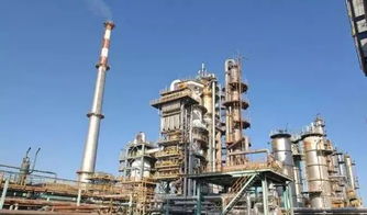 化纖頭條 又倒下一家 華南地區最大民營煉油廠遭破產清算 民營化纖巨頭大煉化投產在即,將給行業帶來怎樣的沖擊