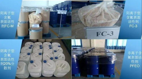 創(chuàng)歷史最好成績 我校六項科研成果喜獲2019年度福建省科學(xué)技術(shù)獎